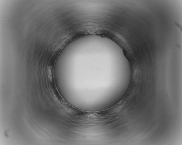 X0000098150121200805151214