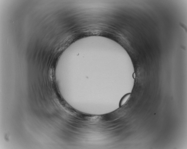 X0000098150122200805151214