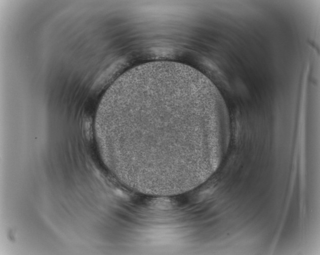 X0000098150123200805151214