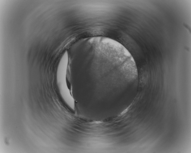 X0000098150124200805151214