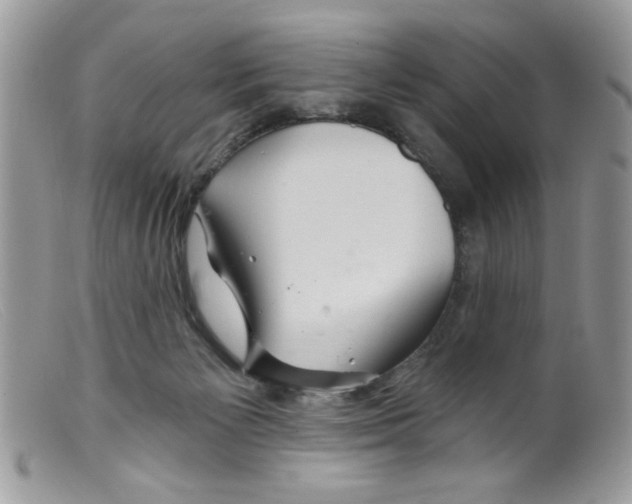 X0000098150125200805151214