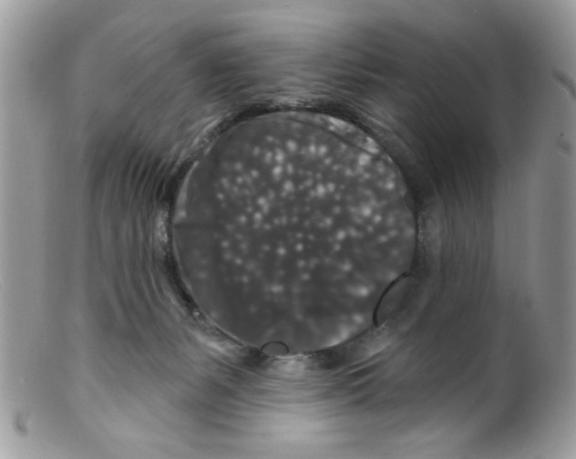 X0000098150127200805151214