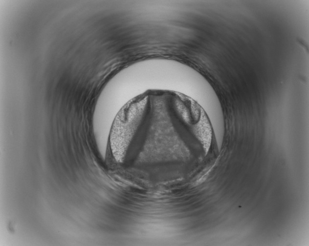 X0000098150128200805151214