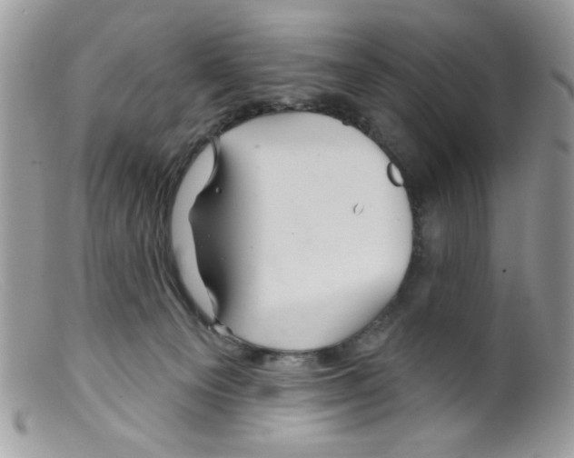 X0000098150129200805151214