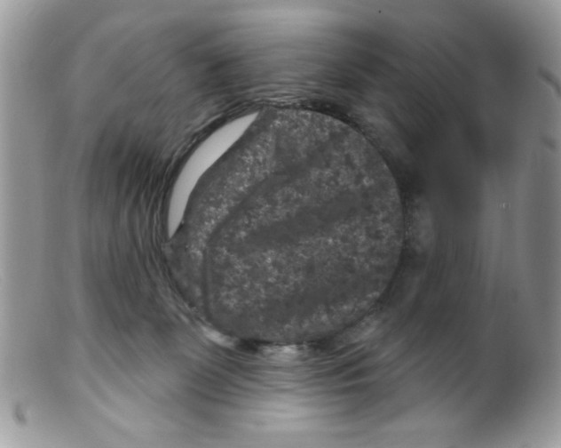 X0000098150131200805151214