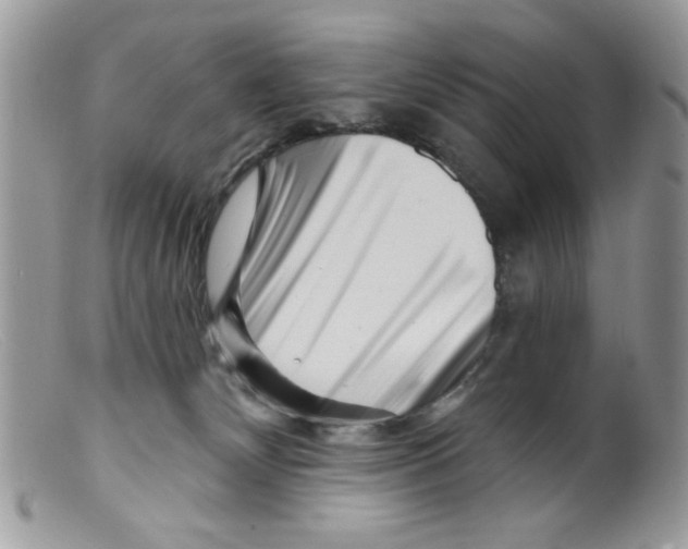 X0000098150132200805151214