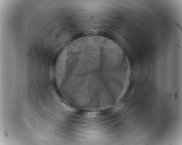 X0000098150134200805151214