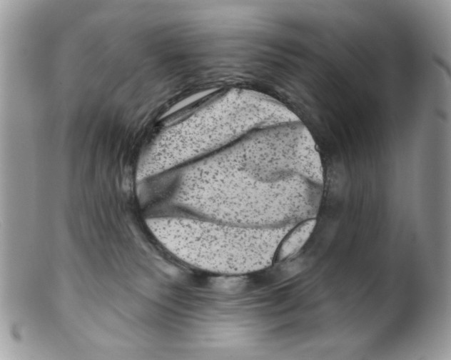 X0000098150135200805151214