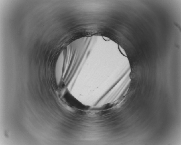 X0000098150136200805151214