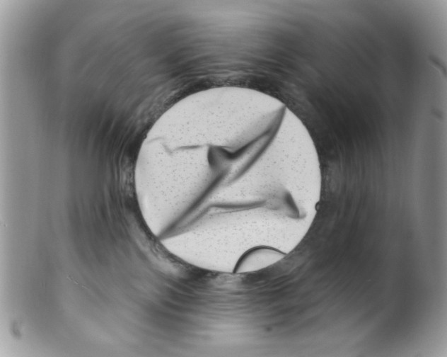 X0000098150138200805151214