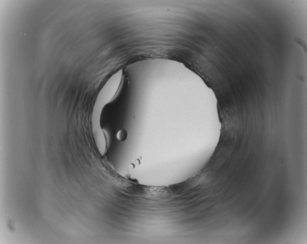 X0000098150141200805151214