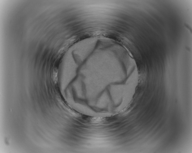 X0000098150142200805151214