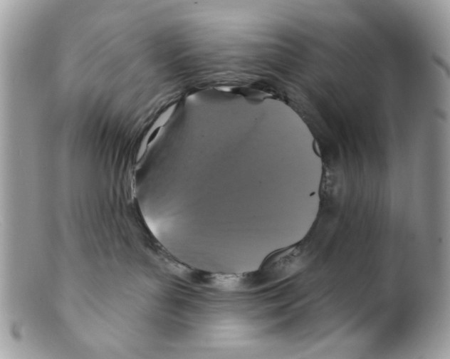 X0000098150143200805151214