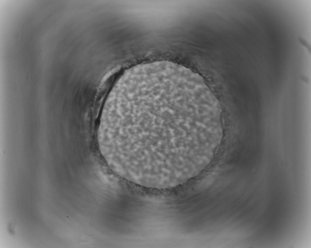 X0000098150144200805151214