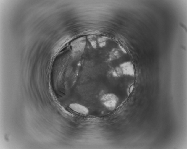 X0000098150145200805151213