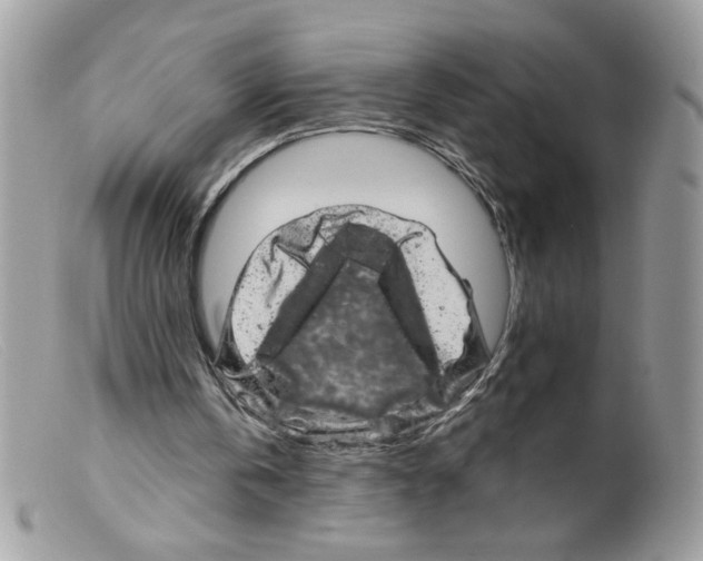 X0000098150146200805151213