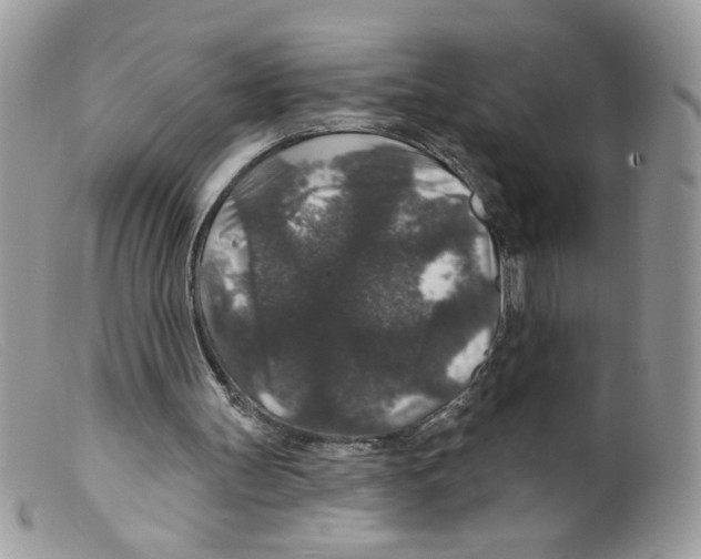 X0000098150147200805151213