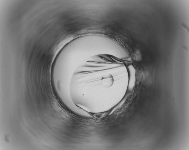 X0000098150148200805151213