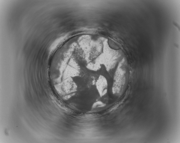 X0000098150149200805151213