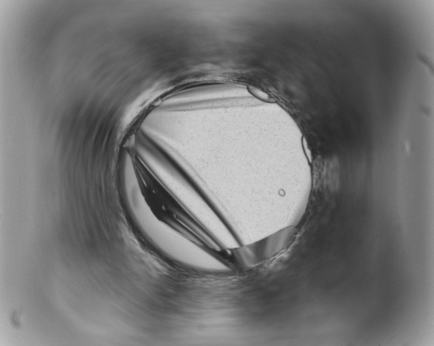 X0000098150150200805151213