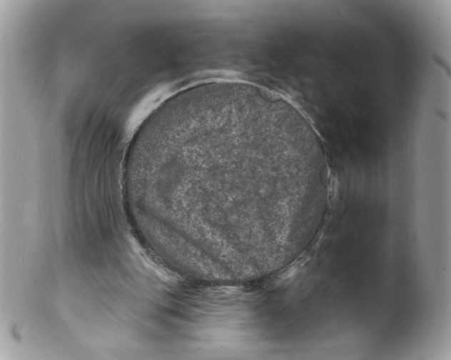 X0000098150151200805151213