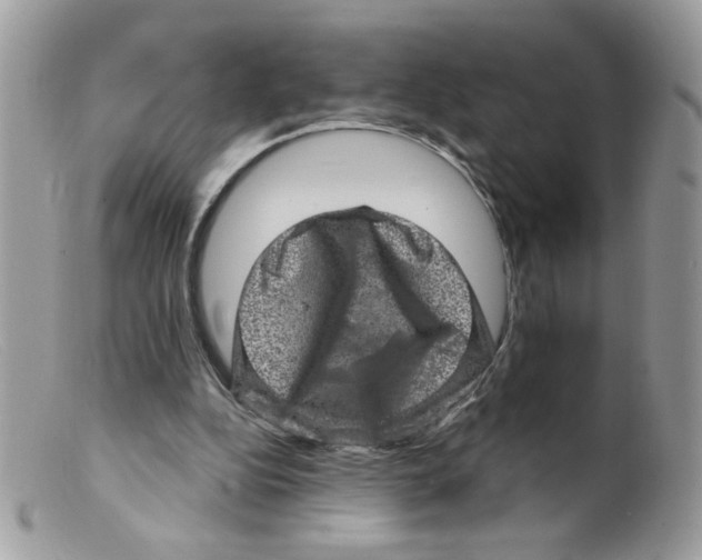 X0000098150152200805151213