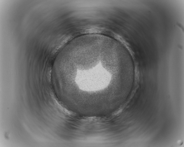 X0000098150153200805151213