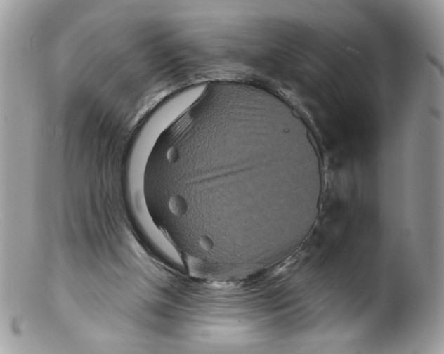 X0000098150154200805151213