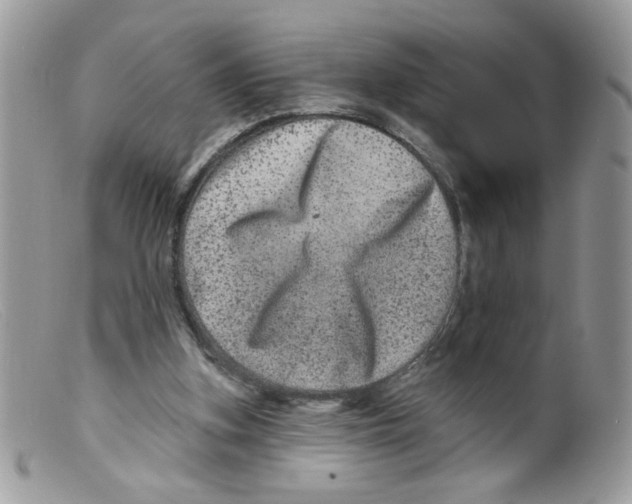 X0000098150155200805151213