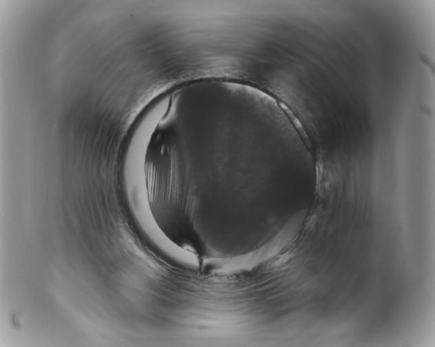 X0000098150156200805151213