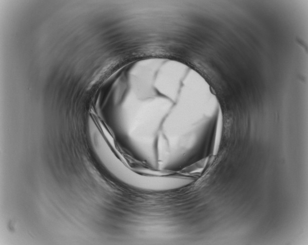 X0000098150158200805151213