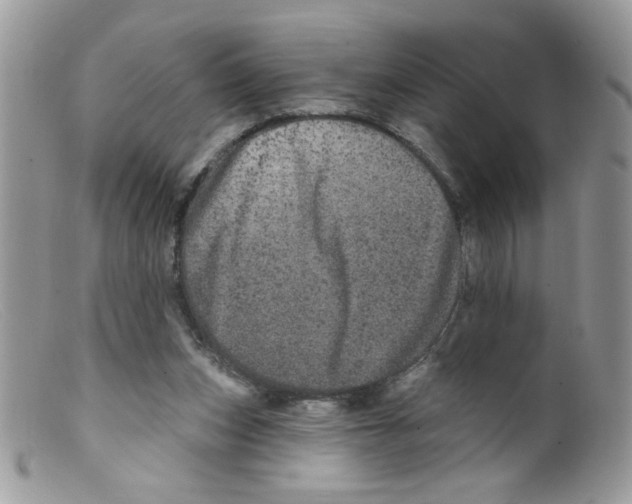 X0000098150159200805151213