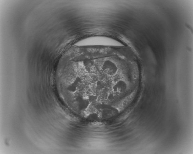 X0000098150161200805151213