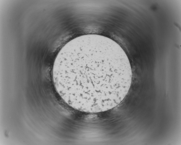 X0000098150162200805151213