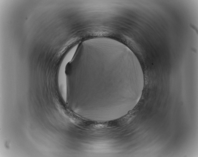 X0000098150163200805151213