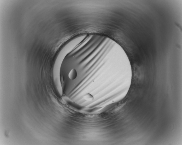 X0000098150164200805151213