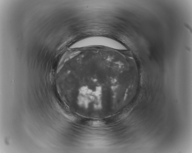 X0000098150165200805151213