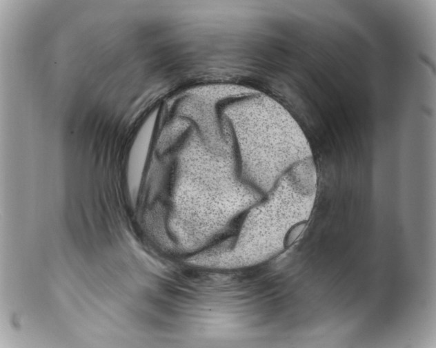 X0000098150166200805151213