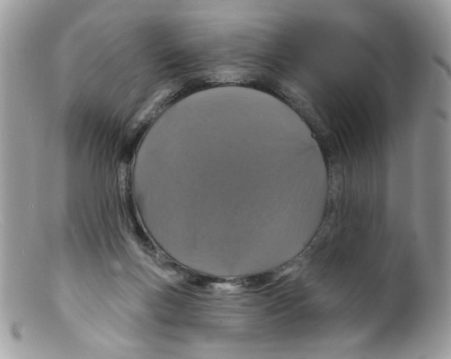 X0000098150167200805151213