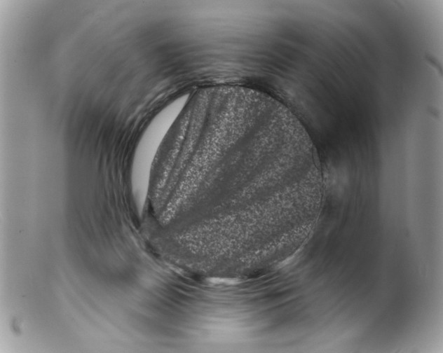 X0000098150170200805151213