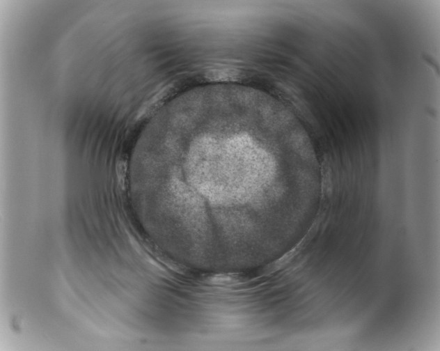 X0000098150171200805151213