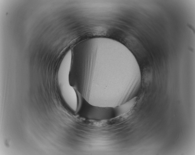 X0000098150172200805151213