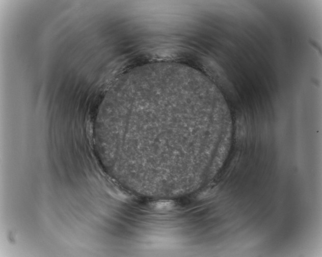 X0000098150173200805151213