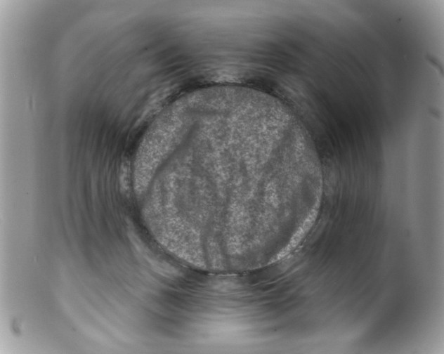 X0000098150175200805151213