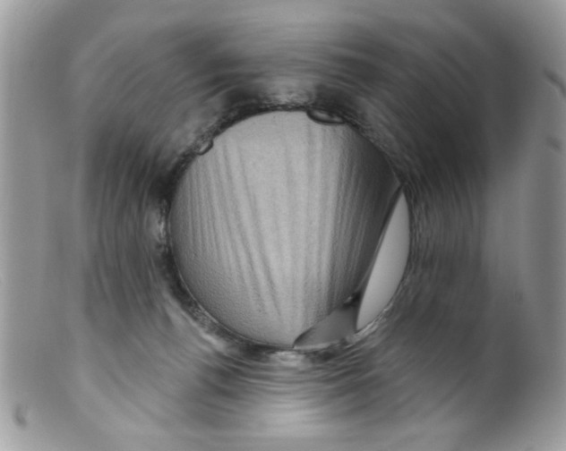 X0000098150176200805151213