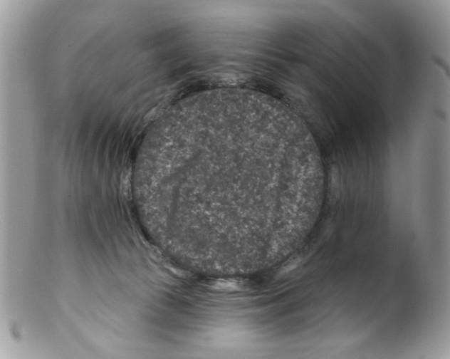 X0000098150177200805151213