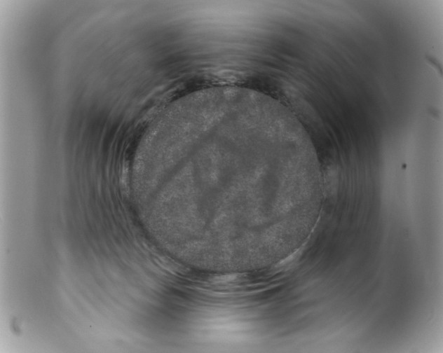 X0000098150178200805151213