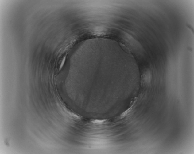 X0000098150180200805151213