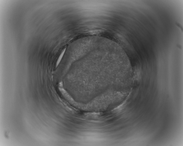 X0000098150182200805151214