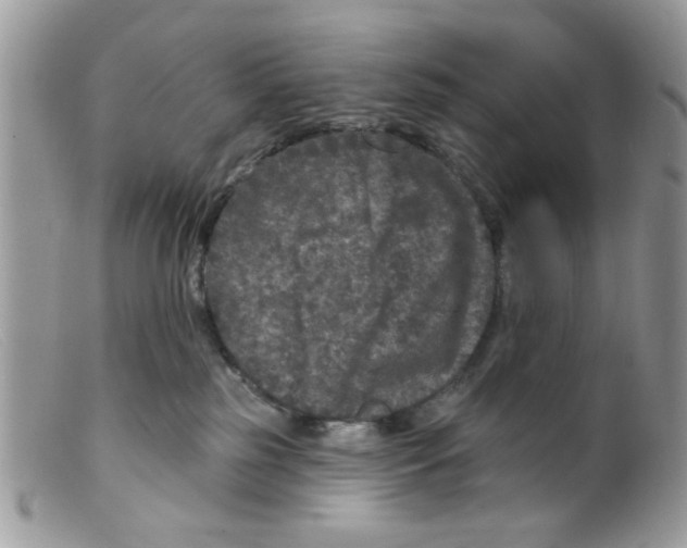 X0000098150185200805151214